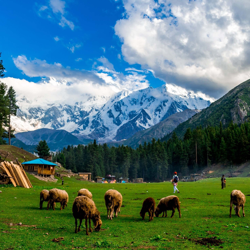 FAIRY MEADOWS